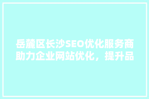 岳麓区长沙SEO优化服务商助力企业网站优化，提升品牌影响力