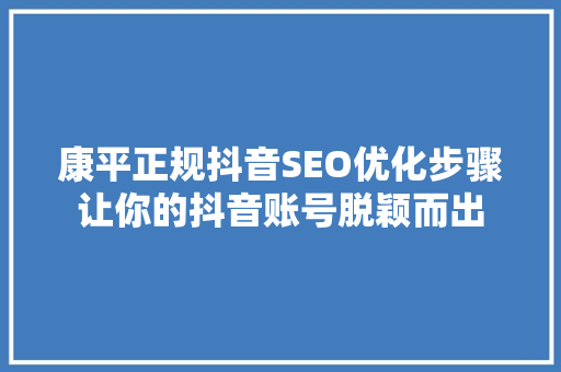 康平正规抖音SEO优化步骤让你的抖音账号脱颖而出