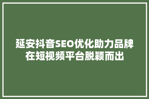 延安抖音SEO优化助力品牌在短视频平台脱颖而出