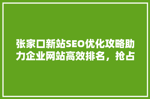 张家口新站SEO优化攻略助力企业网站高效排名，抢占互联网市场先机