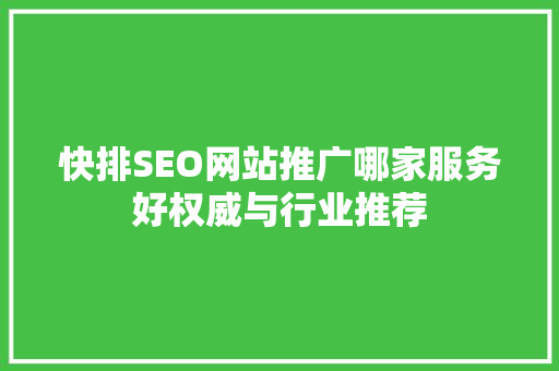 快排SEO网站推广哪家服务好权威与行业推荐