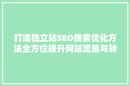 打造独立站SEO搜索优化方法全方位提升网站流量与转化率
