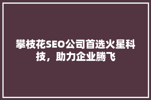 攀枝花SEO公司首选火星科技，助力企业腾飞