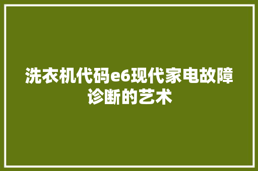 洗衣机代码e6现代家电故障诊断的艺术