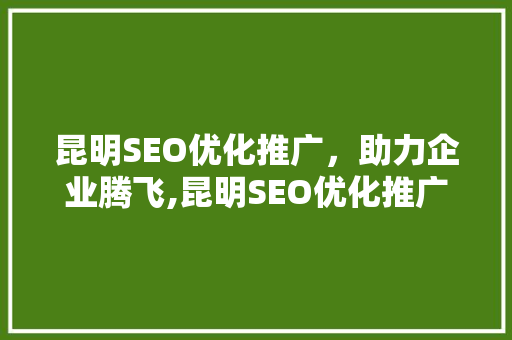 昆明SEO优化推广，助力企业腾飞,昆明SEO优化推广电话及步骤