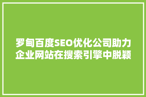 罗甸百度SEO优化公司助力企业网站在搜索引擎中脱颖而出