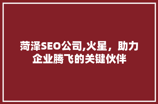 菏泽SEO公司,火星，助力企业腾飞的关键伙伴