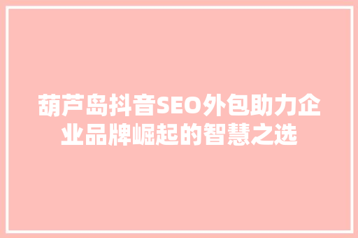 葫芦岛抖音SEO外包助力企业品牌崛起的智慧之选