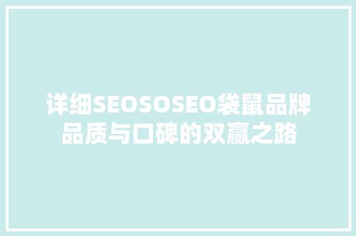 详细SEOSOSEO袋鼠品牌品质与口碑的双赢之路  第1张