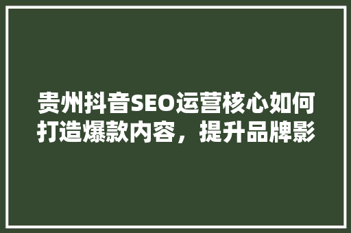 贵州抖音SEO运营核心如何打造爆款内容，提升品牌影响力