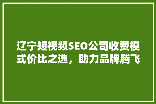 辽宁短视频SEO公司收费模式价比之选，助力品牌腾飞