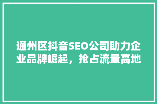 通州区抖音SEO公司助力企业品牌崛起，抢占流量高地