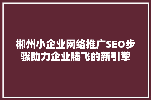郴州小企业网络推广SEO步骤助力企业腾飞的新引擎
