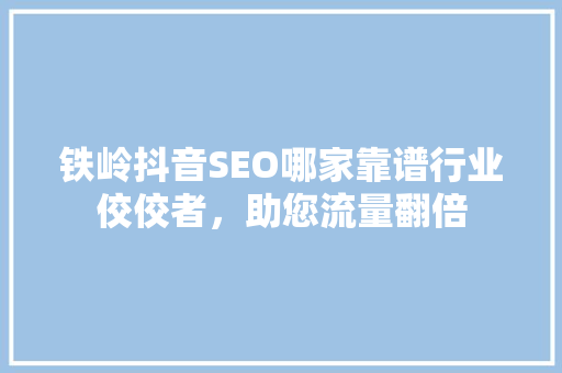 铁岭抖音SEO哪家靠谱行业佼佼者，助您流量翻倍