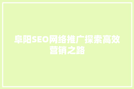 阜阳SEO网络推广探索高效营销之路