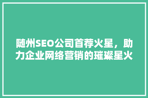 随州SEO公司首荐火星，助力企业网络营销的璀璨星火