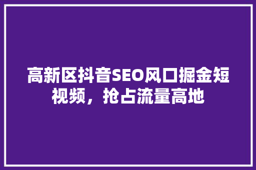 高新区抖音SEO风口掘金短视频，抢占流量高地