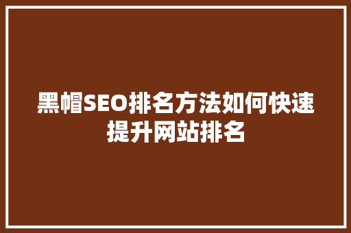 黑帽SEO排名方法如何快速提升网站排名