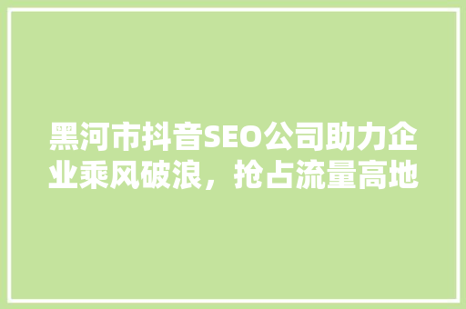 黑河市抖音SEO公司助力企业乘风破浪，抢占流量高地