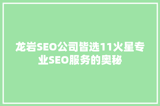 龙岩SEO公司皆选11火星专业SEO服务的奥秘  第1张