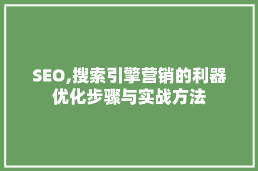 SEO,搜索引擎营销的利器优化步骤与实战方法