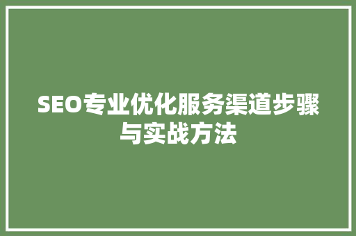 SEO专业优化服务渠道步骤与实战方法