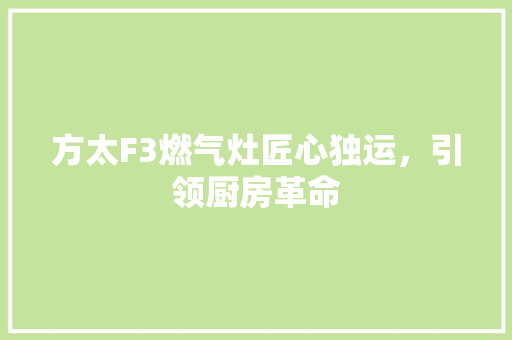 方太F3燃气灶匠心独运，引领厨房革命