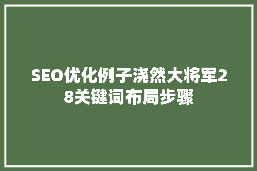 SEO优化例子浇然大将军28关键词布局步骤
