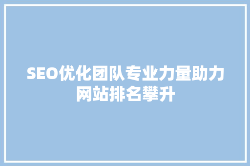 SEO优化团队专业力量助力网站排名攀升