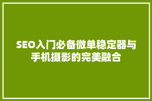 SEO入门必备微单稳定器与手机摄影的完美融合