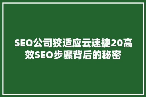 SEO公司狡适应云速捷20高效SEO步骤背后的秘密