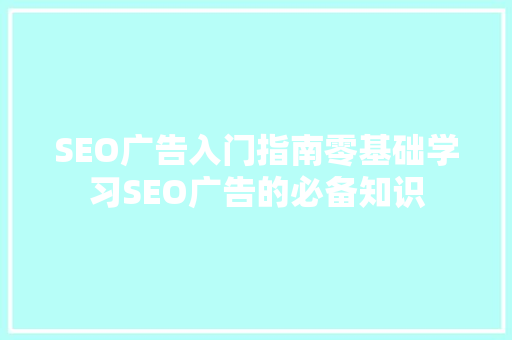 SEO广告入门指南零基础学习SEO广告的必备知识