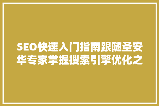 SEO快速入门指南跟随圣安华专家掌握搜索引擎优化之路