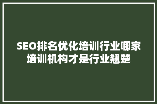 SEO排名优化培训行业哪家培训机构才是行业翘楚