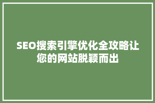 SEO搜索引擎优化全攻略让您的网站脱颖而出