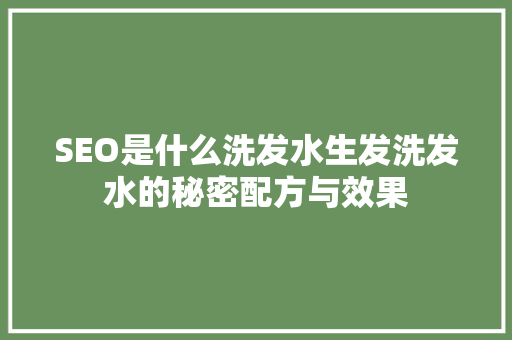 SEO是什么洗发水生发洗发水的秘密配方与效果