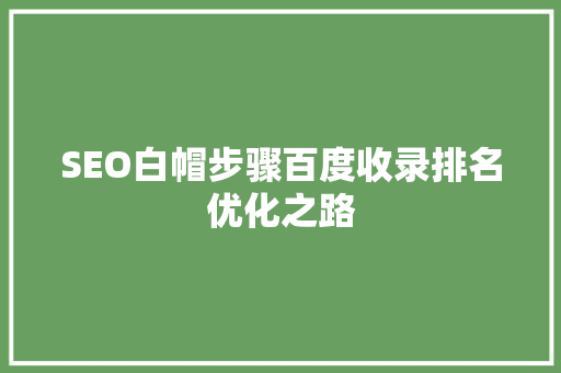 SEO白帽步骤百度收录排名优化之路