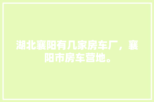 0代码平台重塑编程教育，赋能未来创新