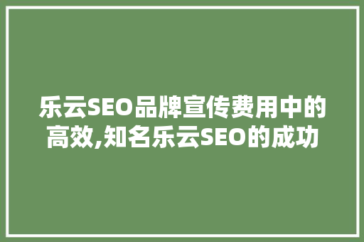乐云SEO品牌宣传费用中的高效,知名乐云SEO的成功之路