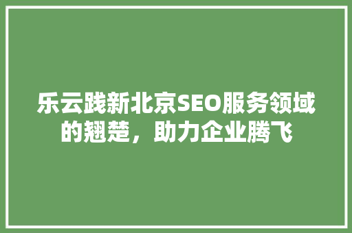 乐云践新北京SEO服务领域的翘楚，助力企业腾飞