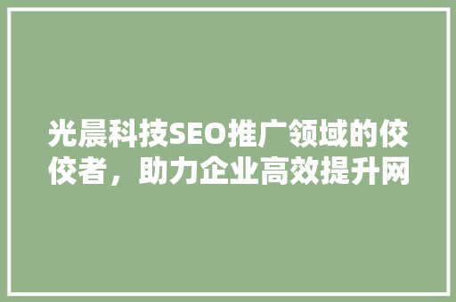 光晨科技SEO推广领域的佼佼者，助力企业高效提升网站排名