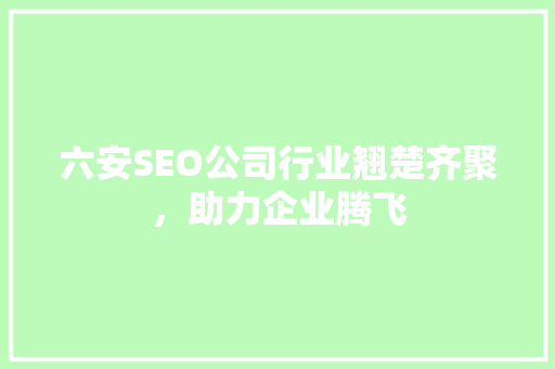 六安SEO公司行业翘楚齐聚，助力企业腾飞