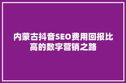 内蒙古抖音SEO费用回报比高的数字营销之路