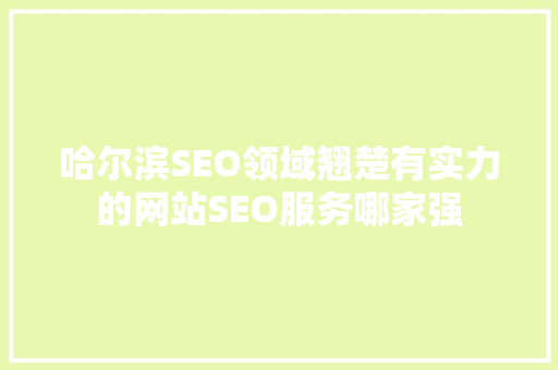 哈尔滨SEO领域翘楚有实力的网站SEO服务哪家强  第1张