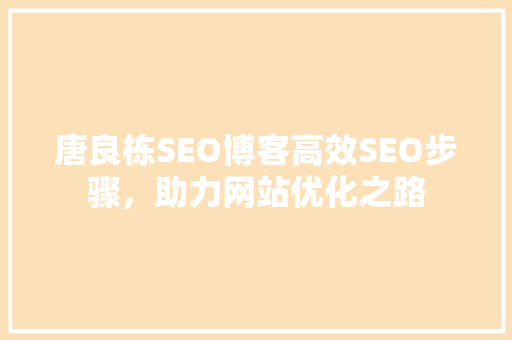 唐良栋SEO博客高效SEO步骤，助力网站优化之路