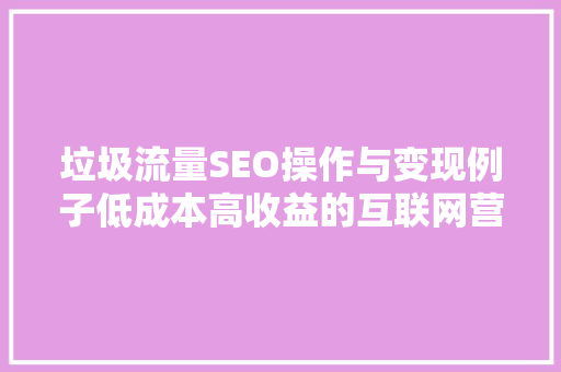 垃圾流量SEO操作与变现例子低成本高收益的互联网营销之路