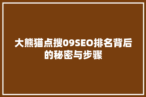 大熊猫点搜09SEO排名背后的秘密与步骤