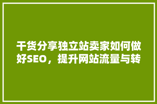 干货分享独立站卖家如何做好SEO，提升网站流量与转化率