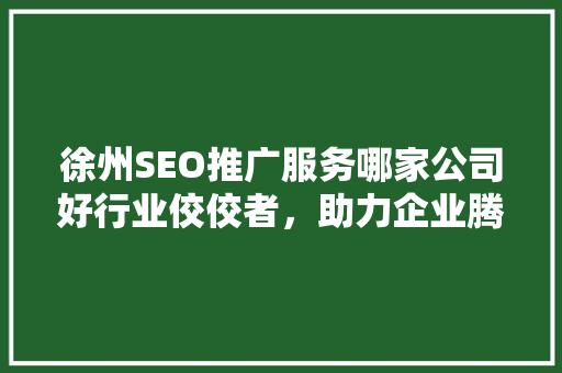 徐州SEO推广服务哪家公司好行业佼佼者，助力企业腾飞