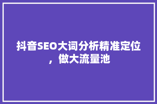抖音SEO大词分析精准定位，做大流量池